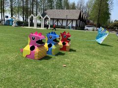 -太阳岛度假酒店