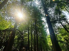 -波尔登森林公园