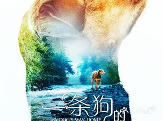 春节将至, 大家最心心想念的就是回家, 而一直狗狗也