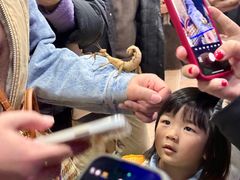-上海大自然野生昆虫馆(东方明珠·爬宠昆虫探索中心)
