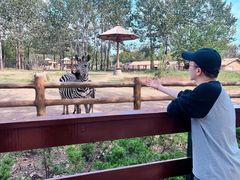 -大连森林动物园