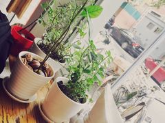 -Egg•Allday Brunch(襄阳北路店)