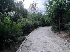 -南翠屏公园