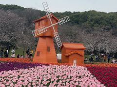 -苏州上方山国家森林公园
