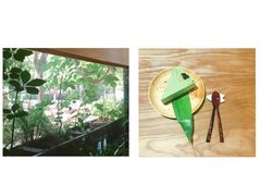 -柴务处·柴犬主题狗咖