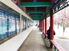 -丰台花园
