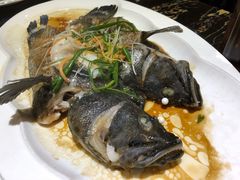 -渔傅·蓝海岸霞浦海鲜(正祥店)
