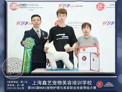 -鑫艺宠物美容培训学校