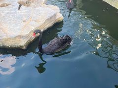 -八景休閒山莊  廣東十大名山莊