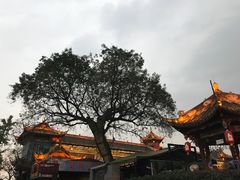 -老号尤兔头(幸福店)