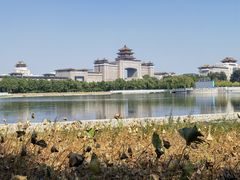 -莲花池公园