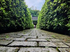 -金孔雀温泉旅游度假村