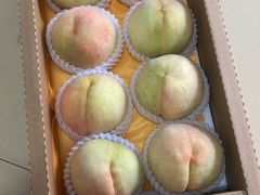 -老袁家蜜桃农场·阳山水蜜桃