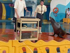 -海合安武汉极地海洋公园