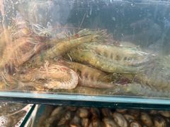 -仙螺岛海鲜自助餐厅(总店)