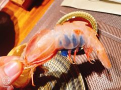 太子虾-一本料理(西溪天街店)