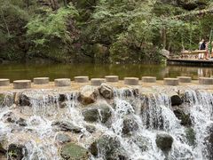 -牛背梁国家森林公园