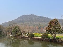 -八卦田遗址公园