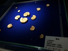 -贝壳王国博物馆
