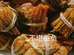 -水岸居湖景农家乐·阳澄湖大闸蟹
