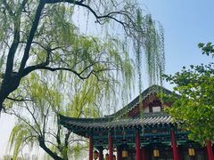 -济南大明湖景区