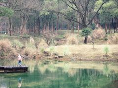 -杭州植物园