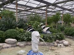 -南宫五洲植物乐园