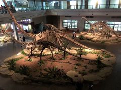 -自贡恐龙博物馆