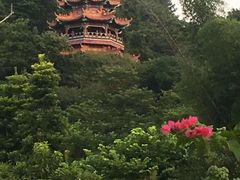 -神光山国家森林公园