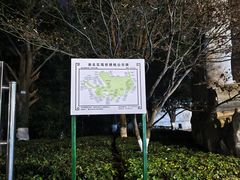 -龙头寺公园