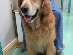 -北京观赏动物医院·24小时大型综合·猫专科·异宠专科
