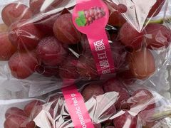 -马陆小张葡萄园农家乐