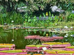 -国家植物园南园