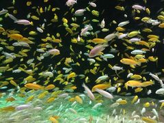 -成都浩海立方海洋公园