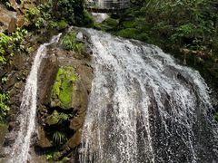 -藏龙百瀑风景区