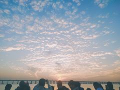 -宝安西湾红树林湿地公园