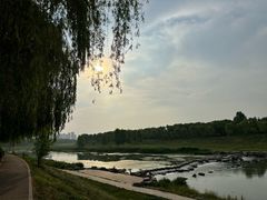 -洨河生态公园
