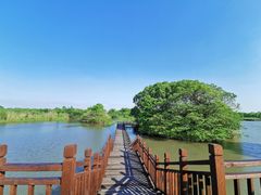 -梁鸿国家湿地公园