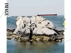 -上海吴淞炮台湾国家湿地公园