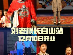 -刘老根大舞台-长春旗舰店