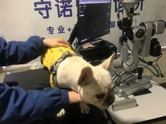 -守诺宠物医院·眼科· 特色牙科·异宠专科(虹口店)