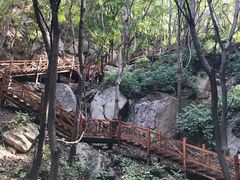 -大岭沟猕猴桃谷风景区