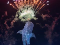 -珠海长隆海洋王国