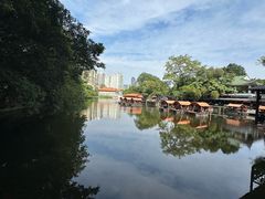 -侨美·唐荔园·40年地道粤菜