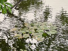 -海口观澜湖火山温泉谷