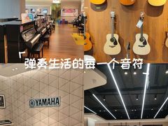-知音艺术教育培训·钢琴培训·音乐培训(河西金鹰世界校区)