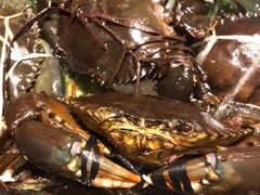 -Isla Sugbu Seafood City