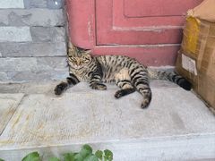 -正阳书局(西四南大街店)