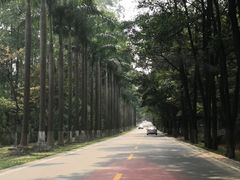 -广州市帽峰山景区
