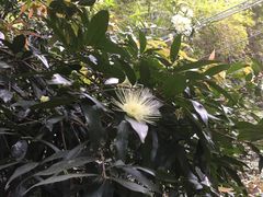 -滴水岩森林公园